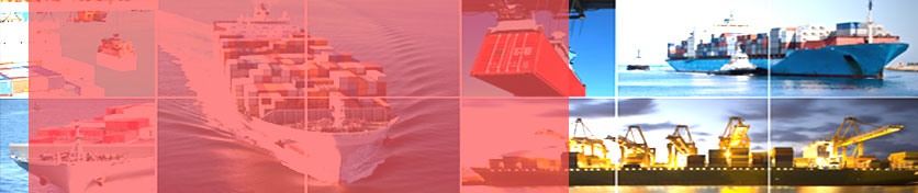 Sea Freight Services of Freight International LLC